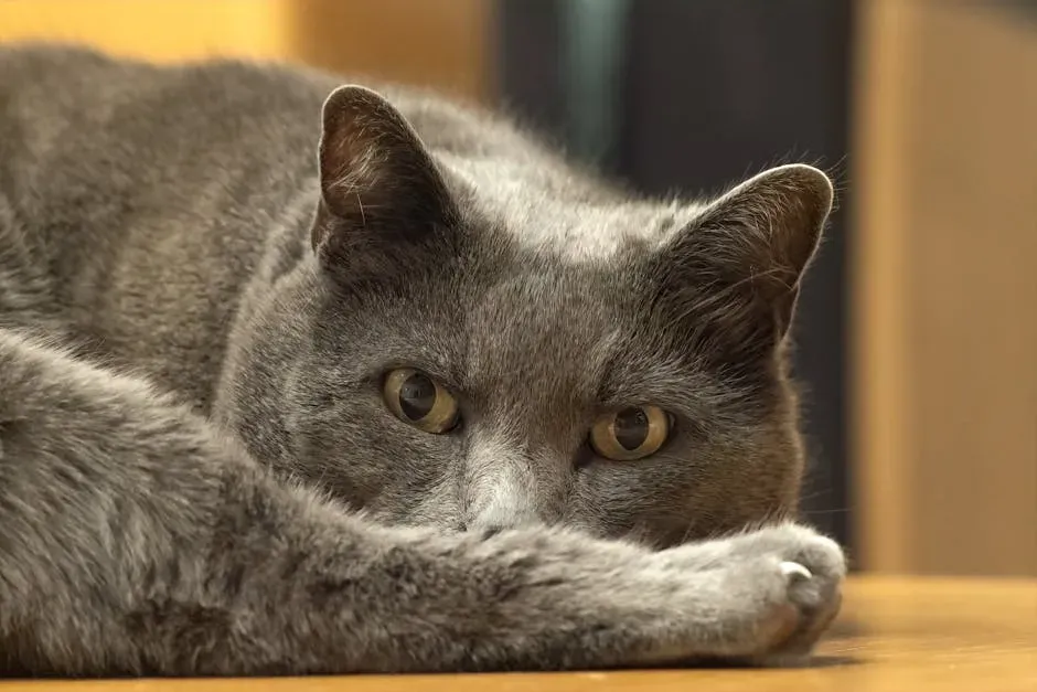 Neophobia and the Fear of Anything New (Image Credits: Pexels)