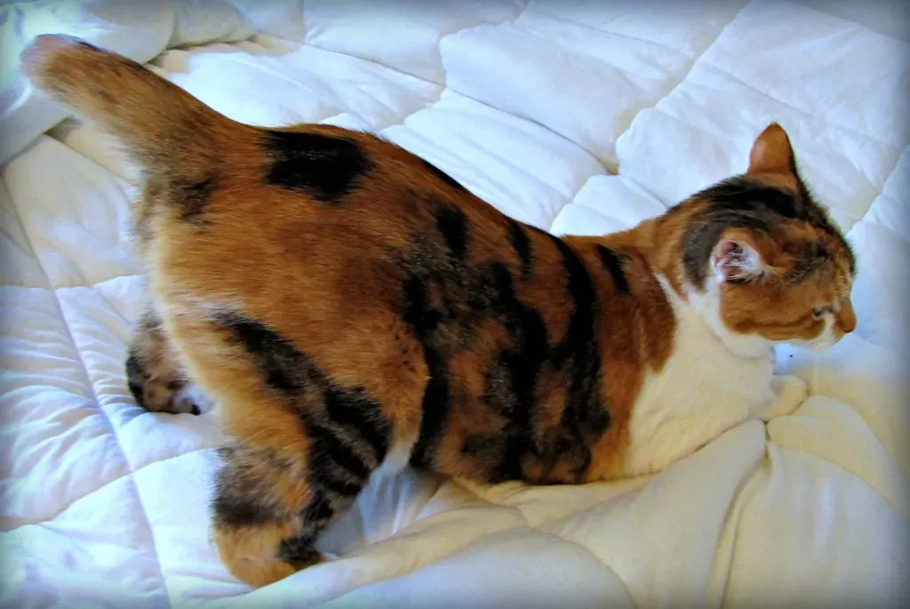 Your Touch Hit the Jackpot Spot (Image Credits: Flickr)