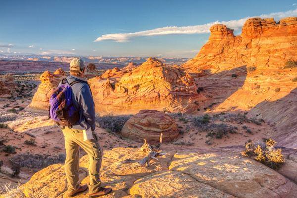 The Hidden Desire for Growth (Image Credits: Flickr)