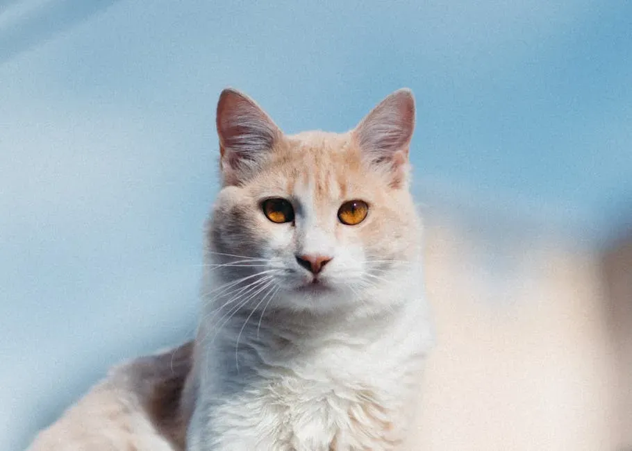 1. Your Cat Solves Problems Without Your Help (Image Credits: Pexels)