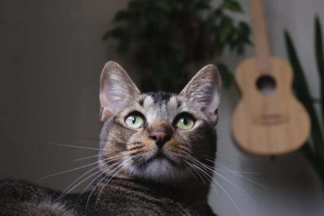 Ears Forward: Curiosity, Alertness, and the Hunting Mode Switch (Image Credits: Unsplash)