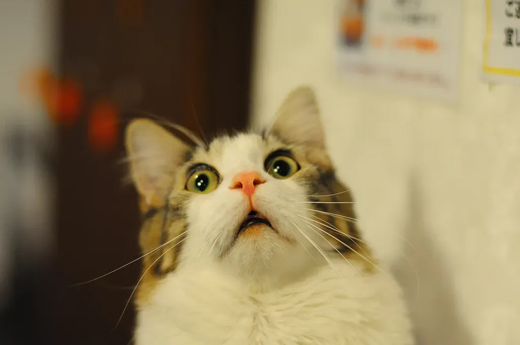 4. You Make Too Much Noise (Image Credits: Flickr)