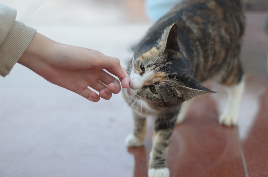 Become the Hand That Feeds (Image Credits: Unsplash)