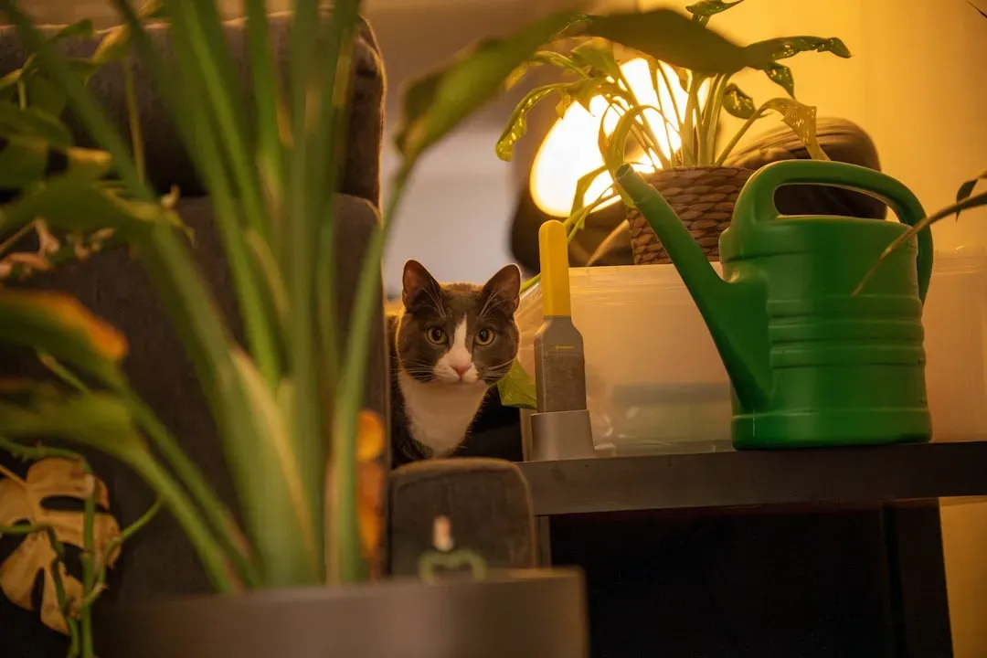 Cat-Safe Plants and Grass: A Touch of Nature (Image Credits: Unsplash)