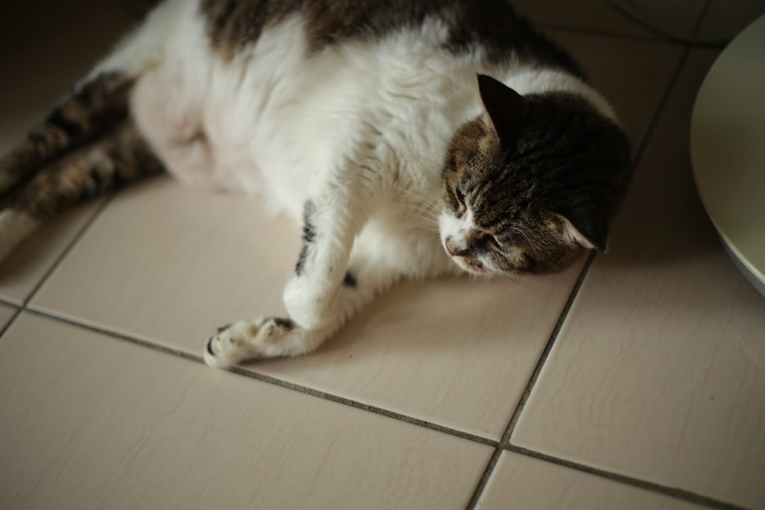 14. Showing Their Belly Then Attacking When You Touch It (Image Credits: Unsplash)