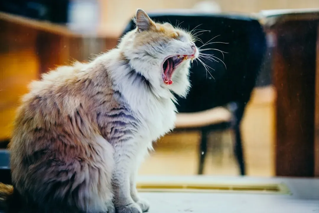 5. They've Gone Quiet - or Suddenly Much Louder (Image Credits: Unsplash)