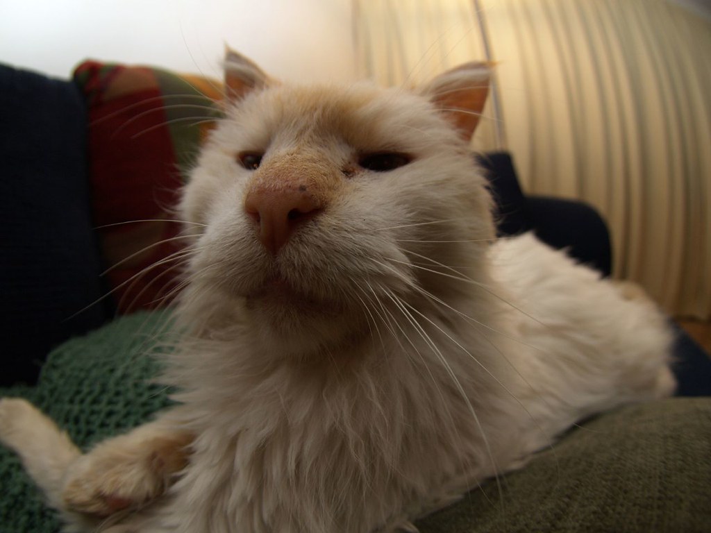 Physical Signs of the Body's Preparation (Image Credits: Flickr)