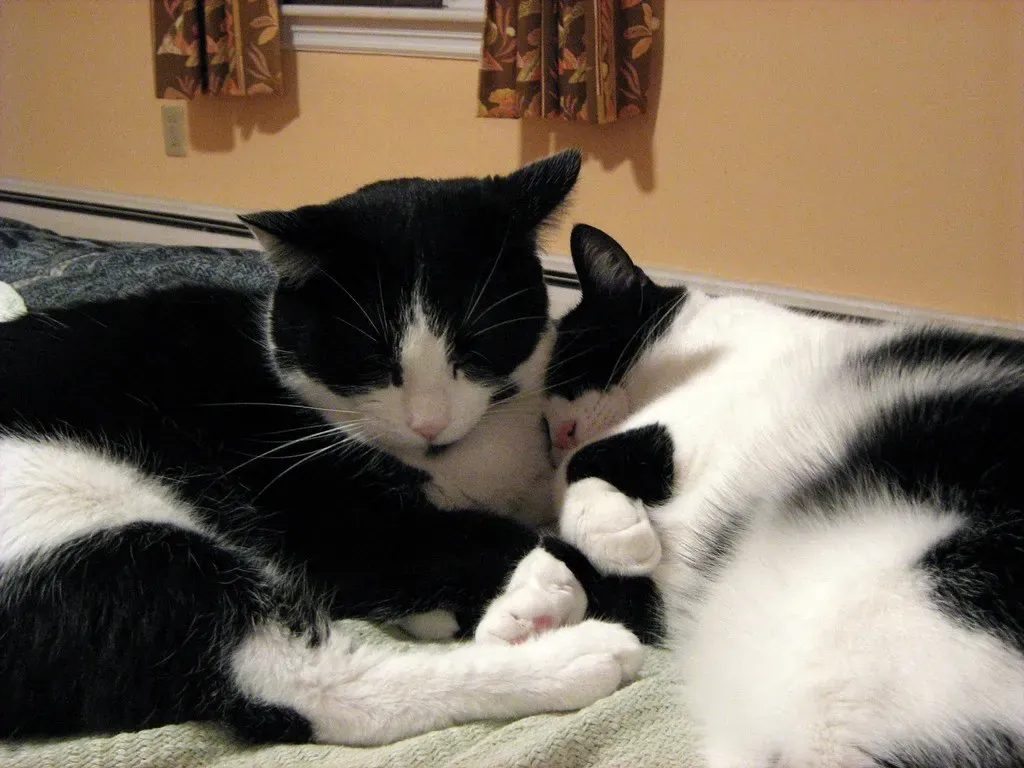 Conclusion (Image Credits: Flickr)