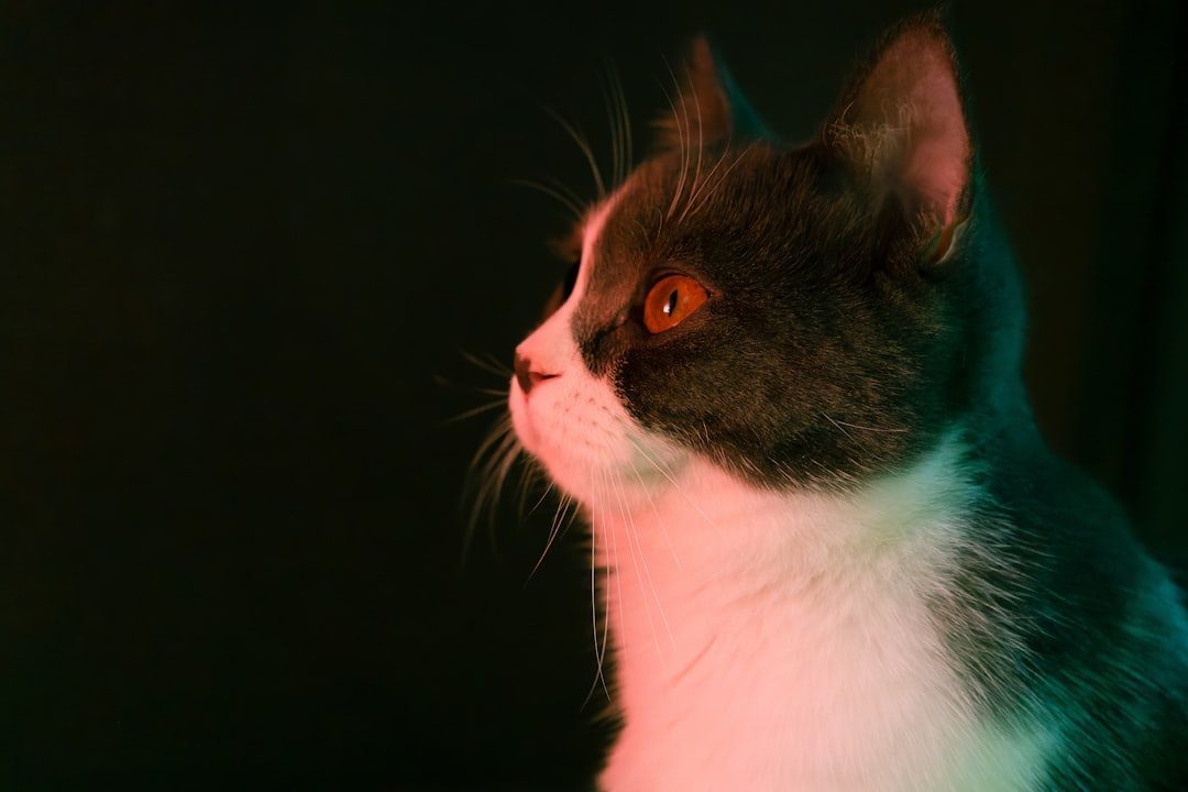 Electromagnetic Field Sensitivity and the Unknown (Image Credits: Unsplash)