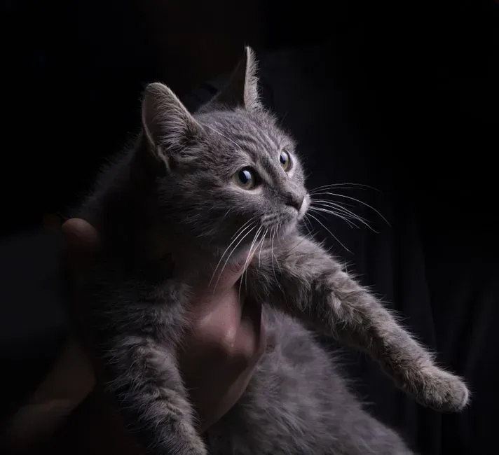 #1 Forcing physical affection instead of letting it happen (Image Credits: Pexels)