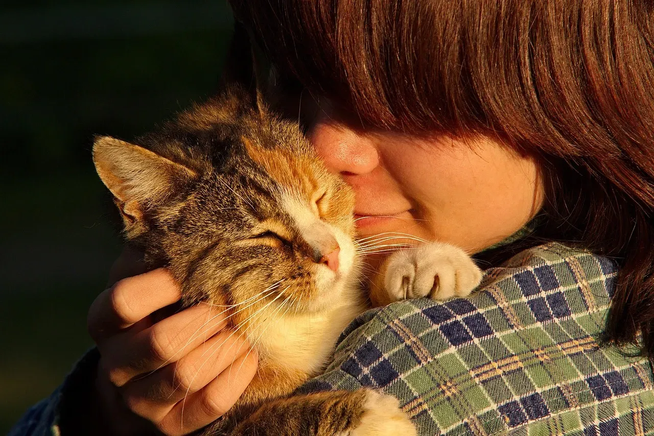 #10 The overall emotional pattern of a relationship (Image Credits: Pixabay)