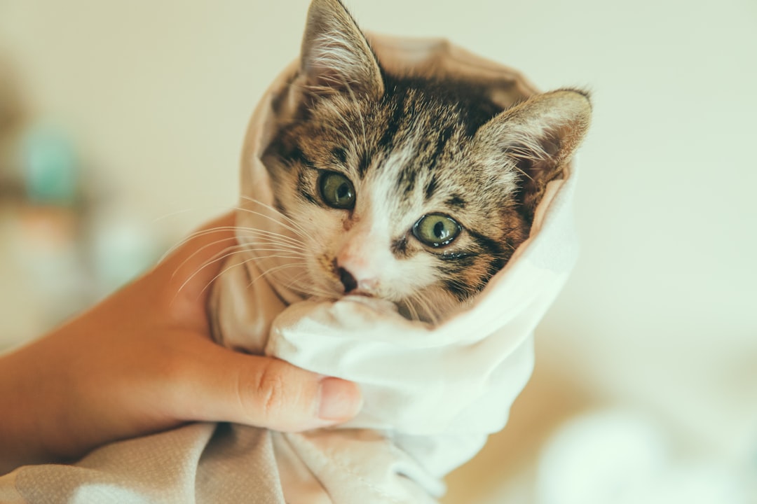 The Towel Burrito Method (Image Credits: Unsplash)
