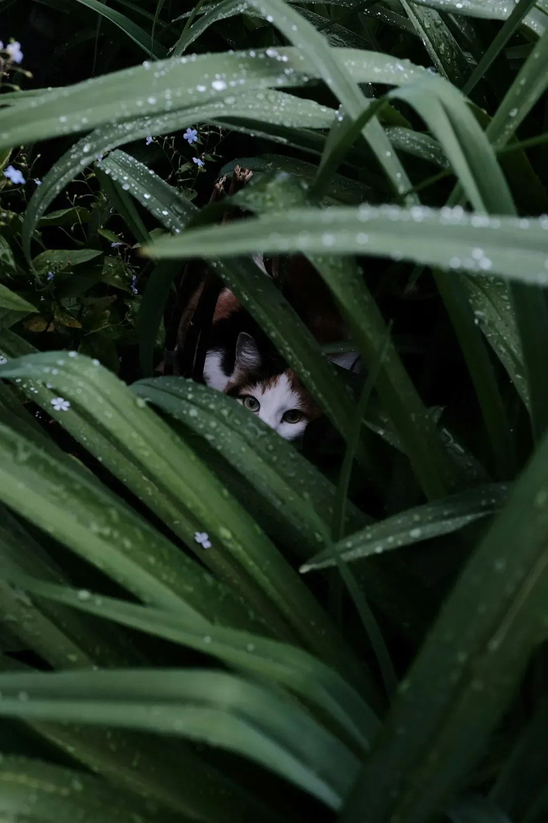 The Secret Stash: Where Do They All Go? (Image Credits: Unsplash)