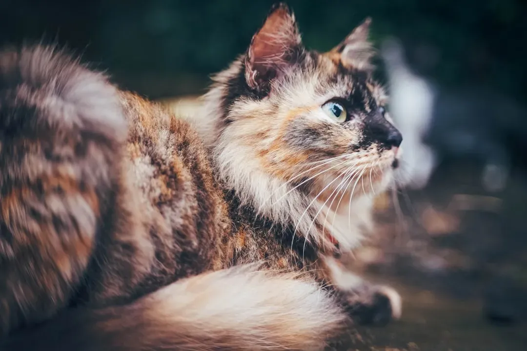 The Reality of One Life (Image Credits: Unsplash)