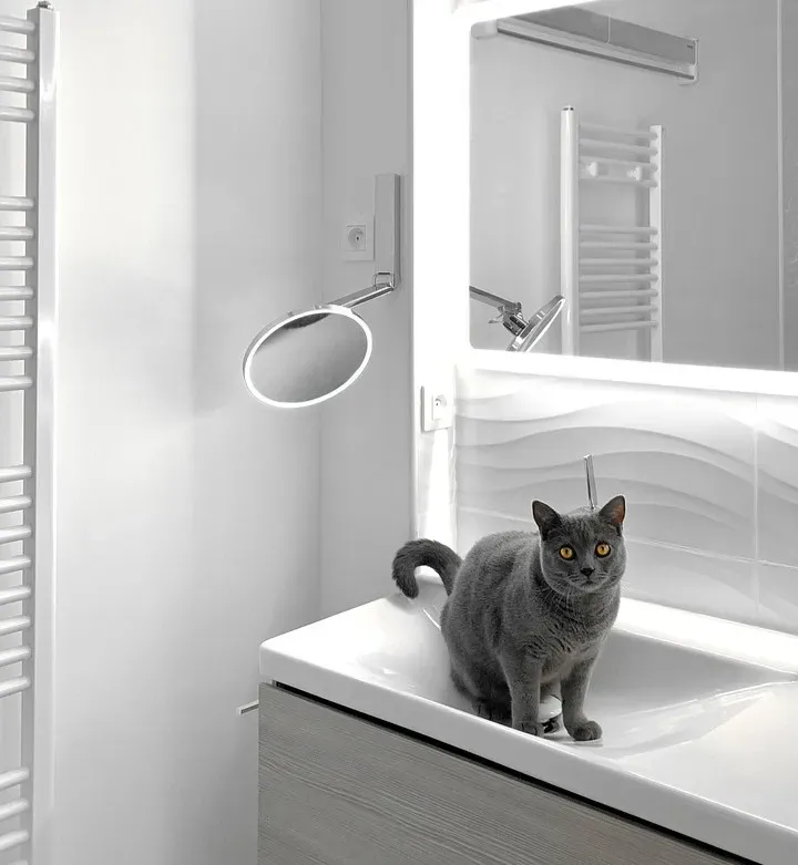 Your Cat Might Be Guarding You While You’re Vulnerable (Image Credits: Pixabay)