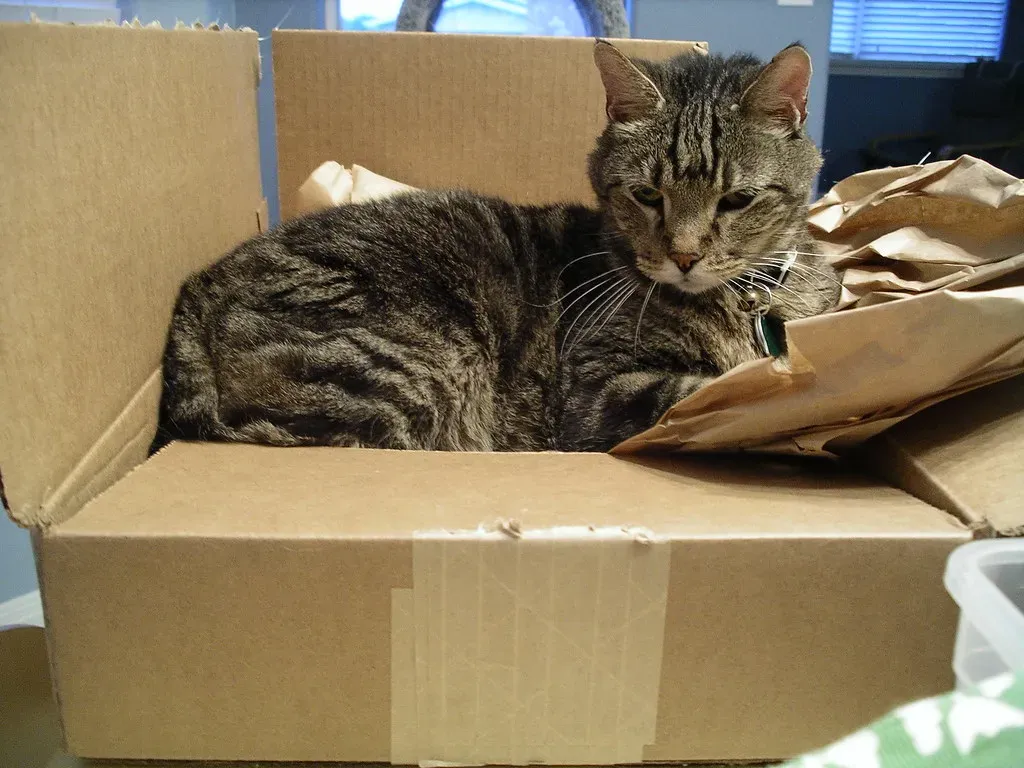 The Curiosity and Novelty Factor (Image Credits: Flickr)