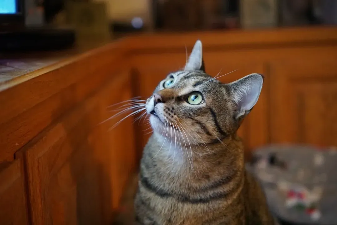 A Final Thought Worth Carrying With You (Image Credits: Unsplash)