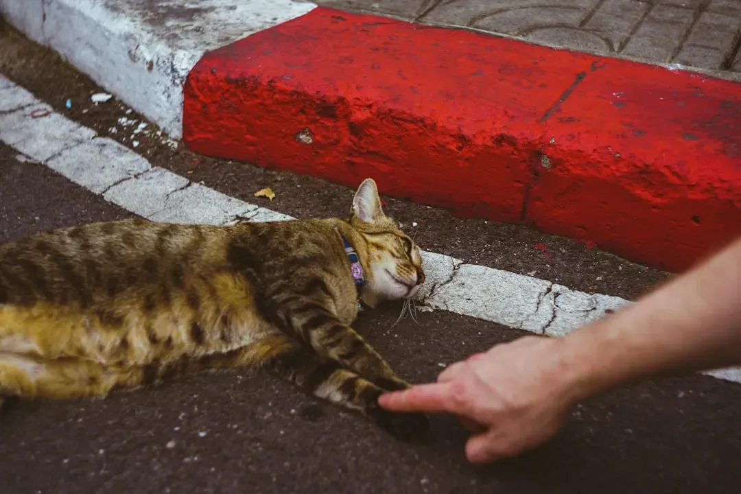 #6 - Sitting Just Out of Arm's Reach Is Still a Closeness Signal (Image Credits: Unsplash)