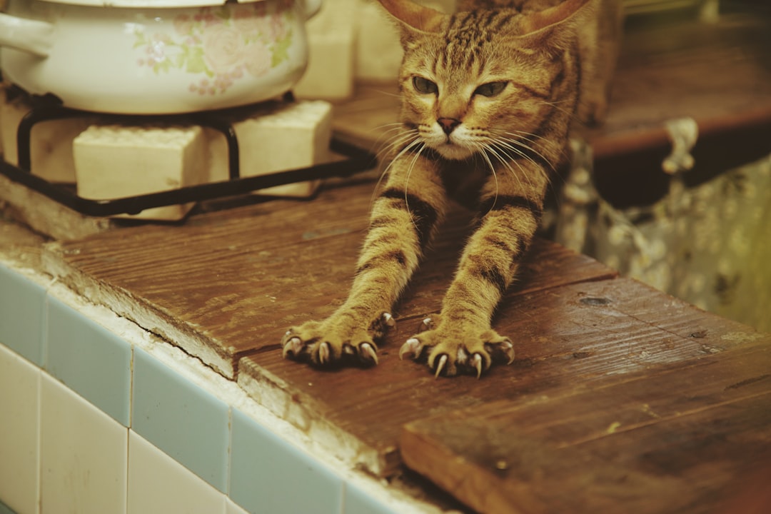 It's Simply More Satisfying Than Your Post (Image Credits: Unsplash)