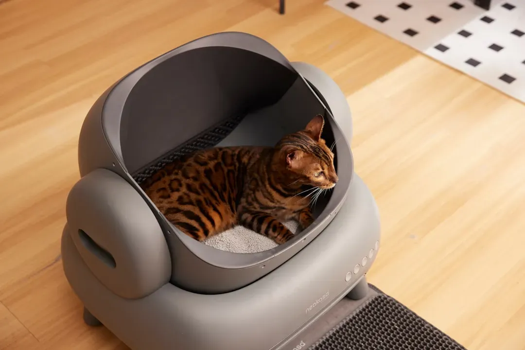A Clean, Private Litter Box in the Right Location (Image Credits: Unsplash)