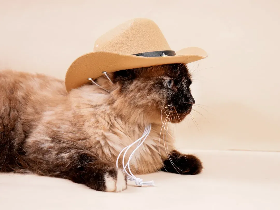 10. Dressing Them Up in Costumes or Clothing (Image Credits: Unsplash)