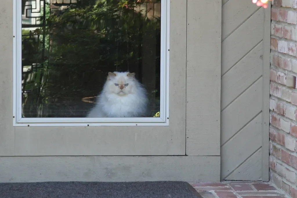 When Waiting at Doors May Signal a Deeper Problem (osunick, Flickr, CC BY-SA 2.0)