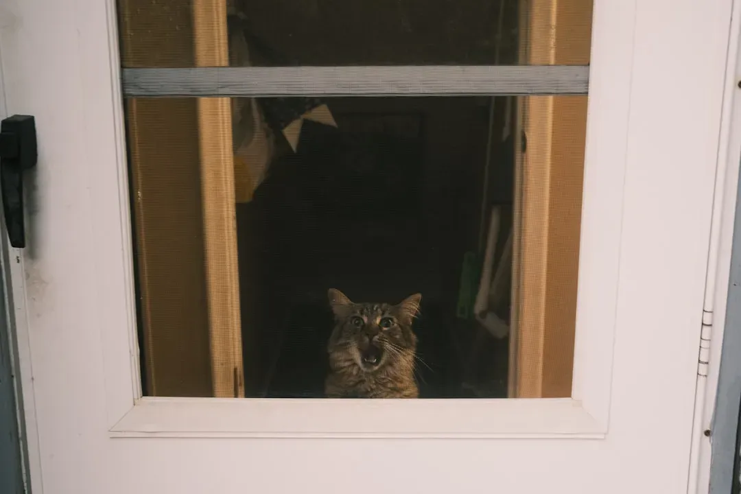Curiosity, Predictability, and the Need to “Check” What Changed (Image Credits: Unsplash)