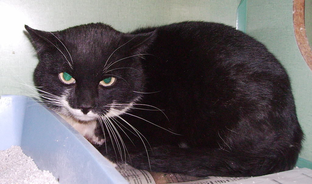 Ignoring Environmental Hazards (Image Credits: Flickr)