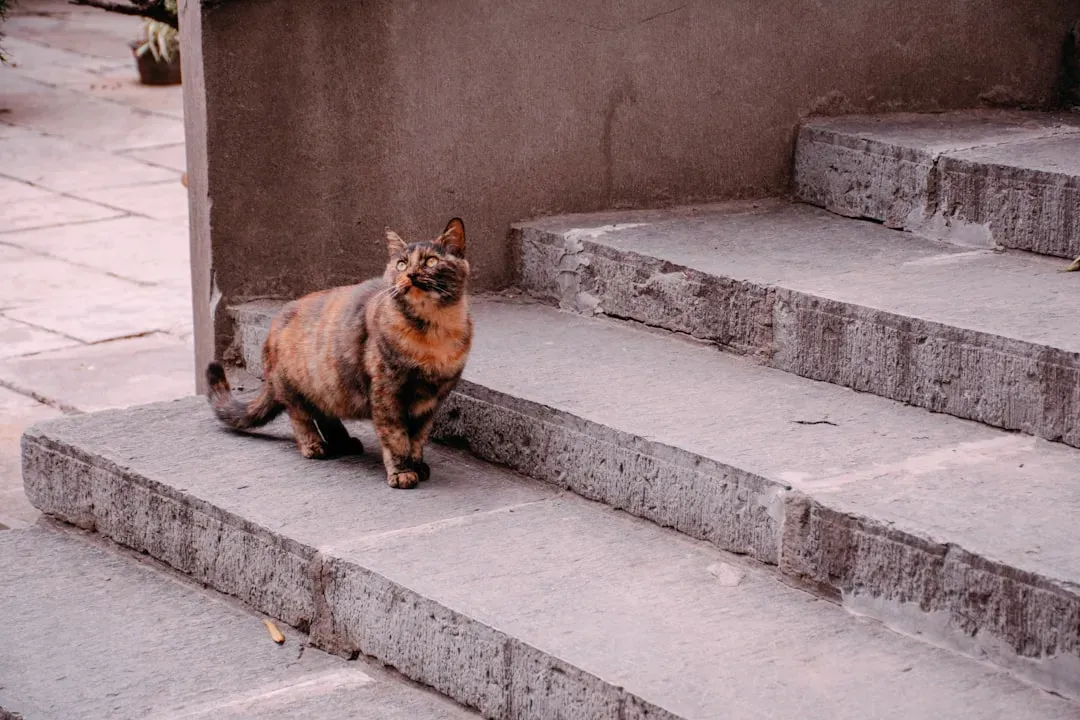 Conclusion: Every Quirk Has a Backstory Millions of Years in the Making (Image Credits: Unsplash)