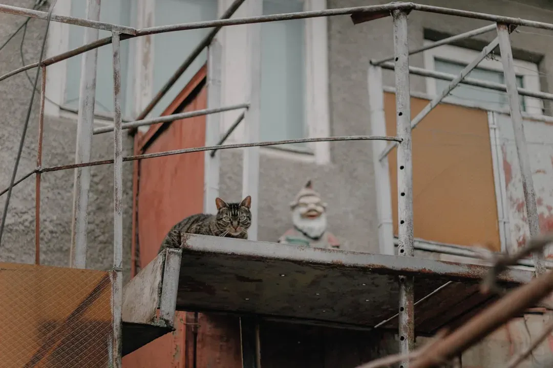 Construction Sounds and Home Repairs (Image Credits: Unsplash)