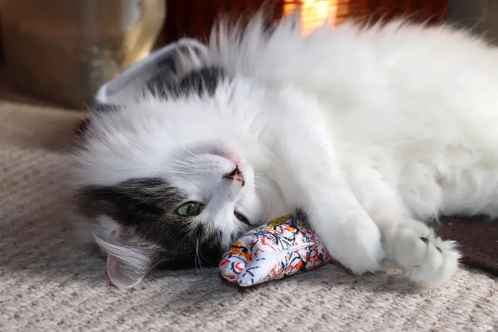 6. The Catnip-Stuffed Felt Toy (Lisa Zins, Flickr, CC BY 2.0)