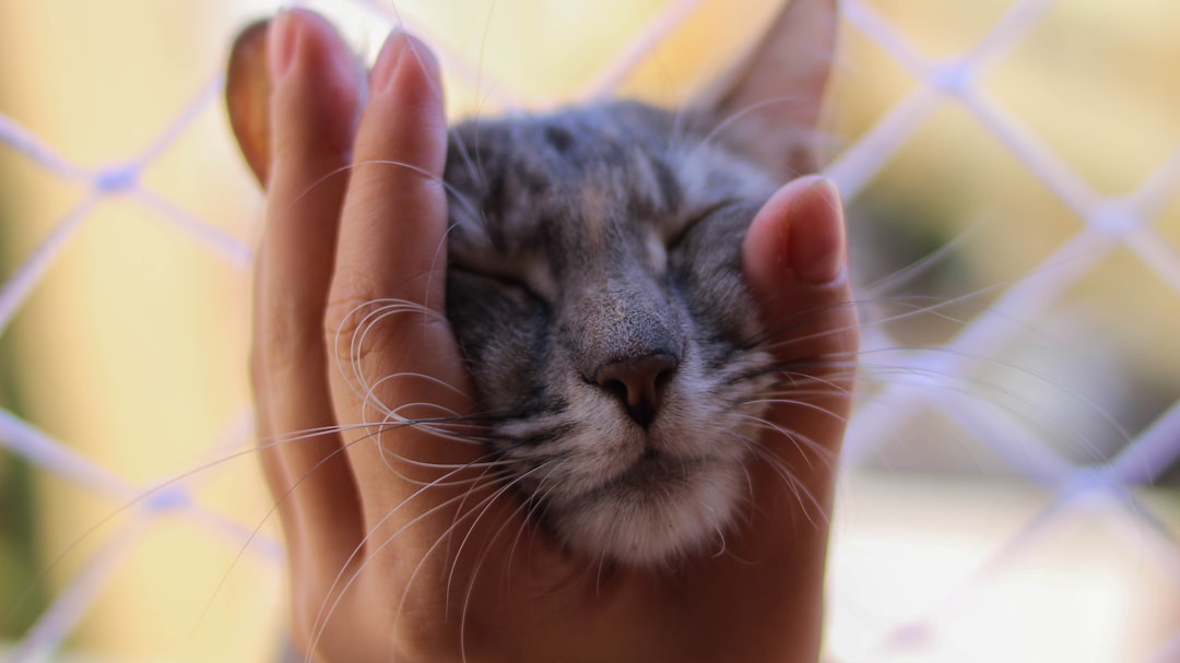 The Attention-Seeking Element (Image Credits: Unsplash)