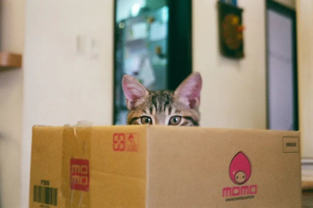 Conflict Avoidance and Personal Space (Image Credits: Unsplash)