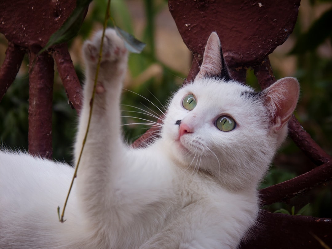 I'm Finally Pain-Free and Young Again (Image Credits: Unsplash)