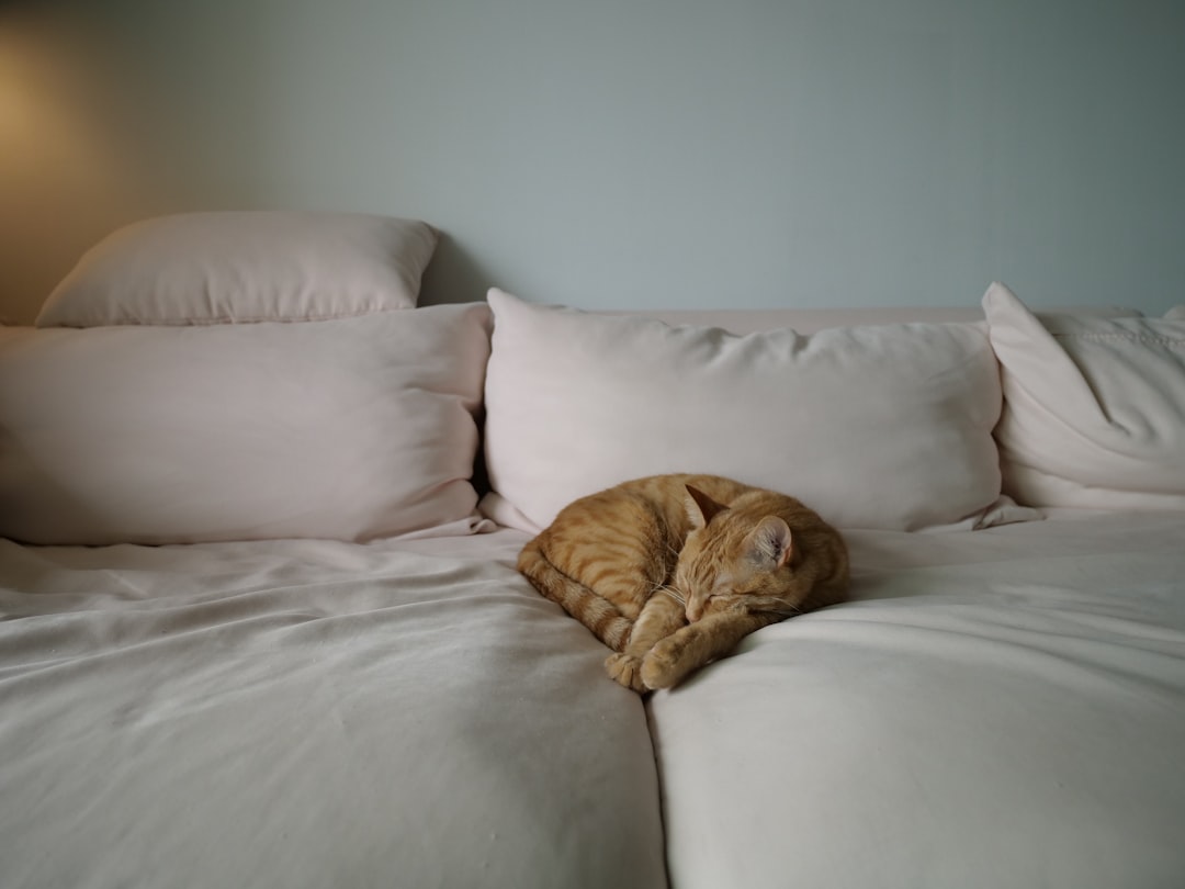 Their Favorite Spots Hold Sacred Energy (Image Credits: Unsplash)