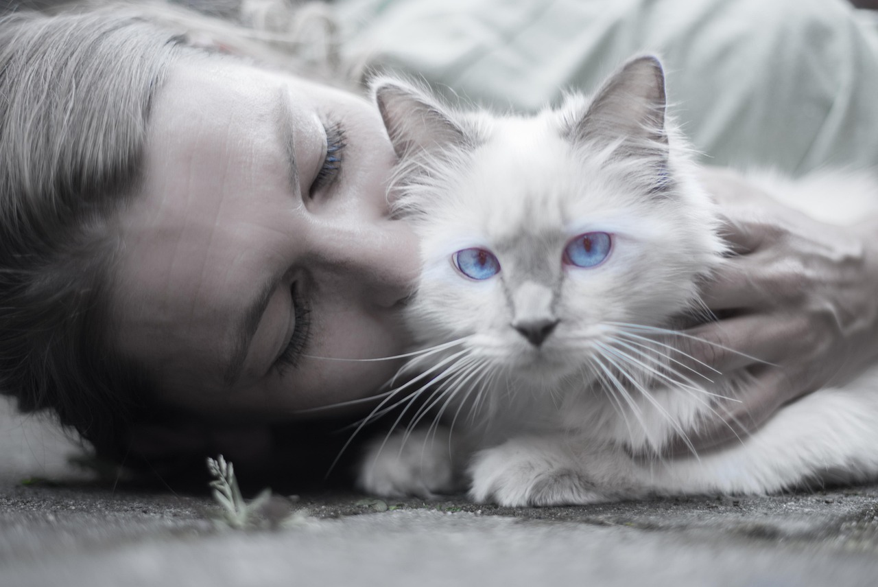 They Become Extra Clingy and Affectionate (Image Credits: Pixabay)