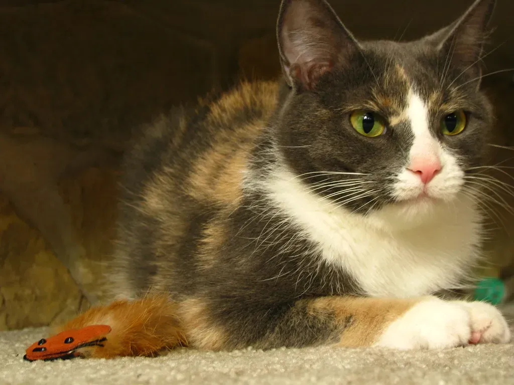 What to Do When You Receive a Gift (Image Credits: Flickr)