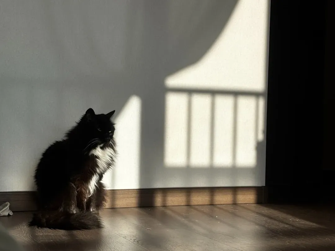 The Serotonin Connection: Your Cat's Natural Mood Booster (Image Credits: Unsplash)