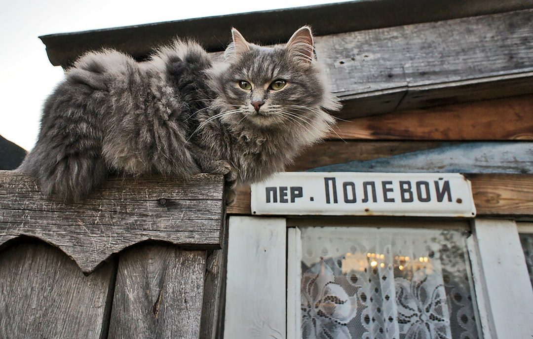 Becoming Distressed When Your Routine Changes (Image Credits: Unsplash)