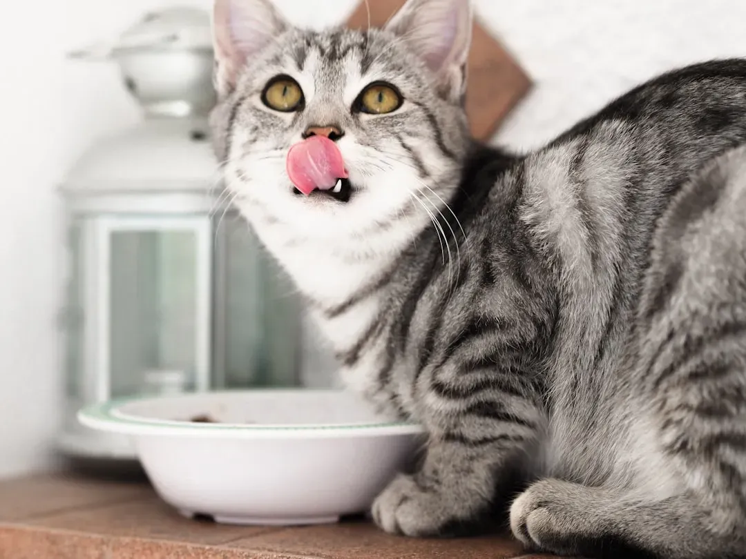 Your Cat's Taste Buds Are Radically Different From Yours (Image Credits: Unsplash)