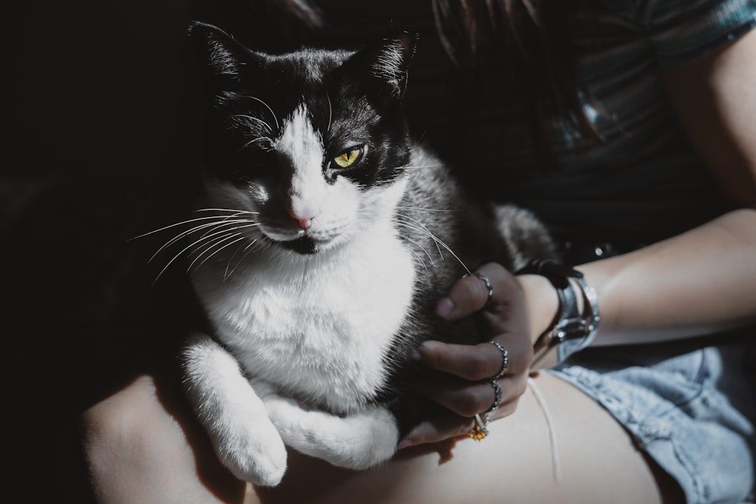 10. Offer Choices and Ask for Consent (Image Credits: Unsplash)