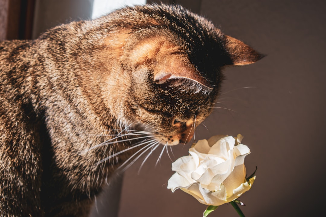 The Secret Language of Scent Communication (Image Credits: Unsplash)