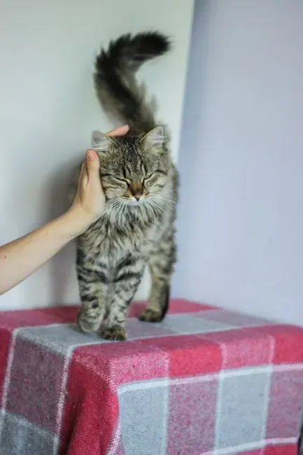 #11 - Science Actually Measured This Behavior's Impact (Image Credits: Pexels)