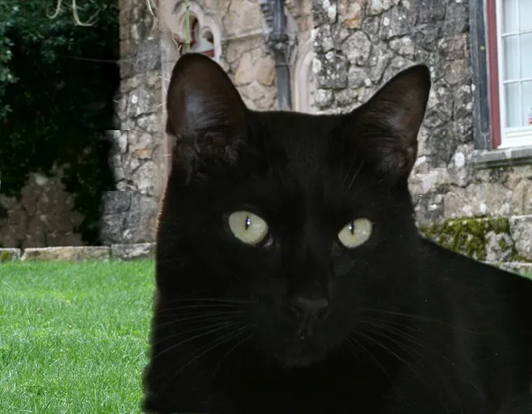 Reframing Independence as Compatibility (Image Credits: Flickr)