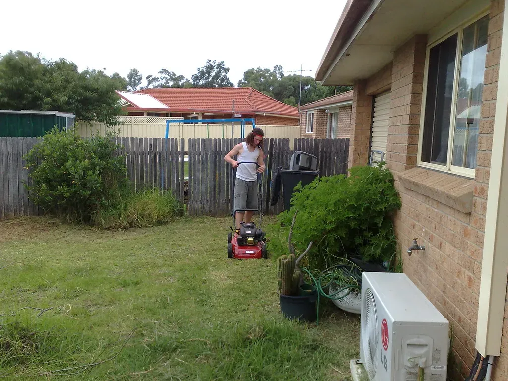 Mow and Clean Your Yard Regularly (Image Credits: Flickr)