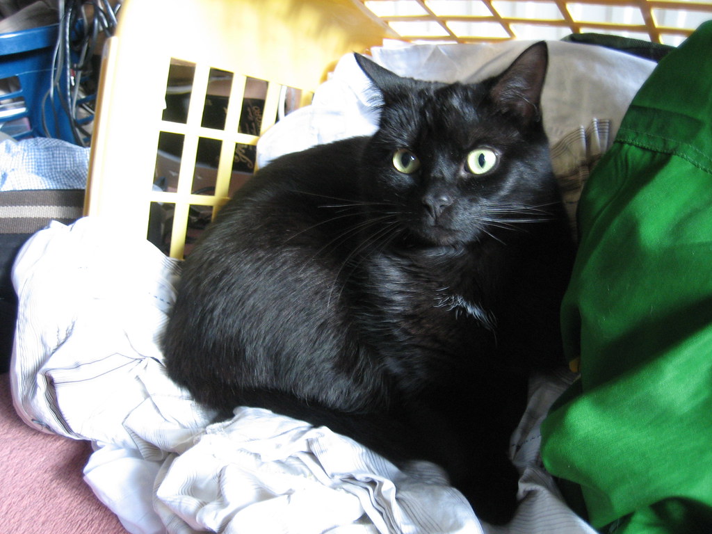 Laundry Piles Offer Multiple Appeal Factors (Image Credits: Flickr)