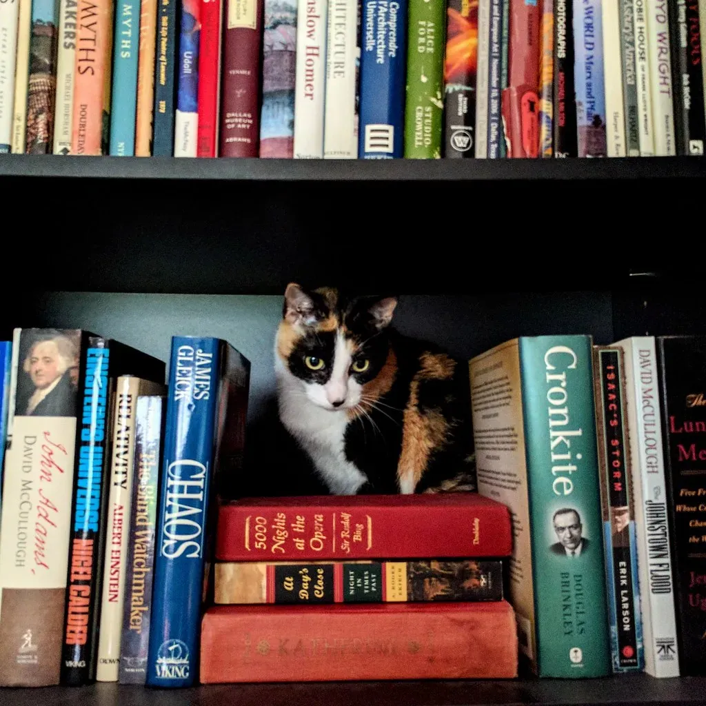 Empty Spaces On Shelves Or Under Furniture (Image Credits: Flickr)