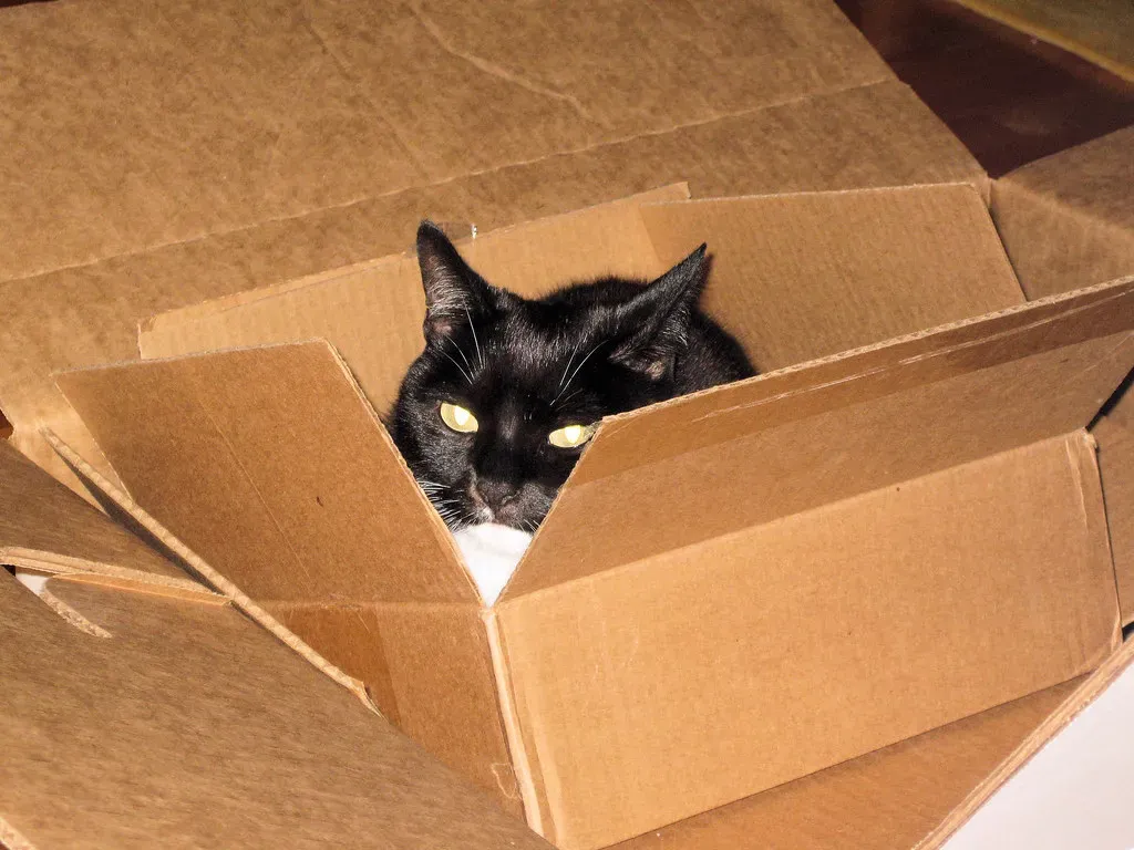 Stress Relief in a Cardboard Package (Image Credits: Flickr)