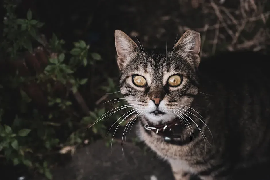 When to Worry and When to Simply Watch in Wonder (Image Credits: Pexels)