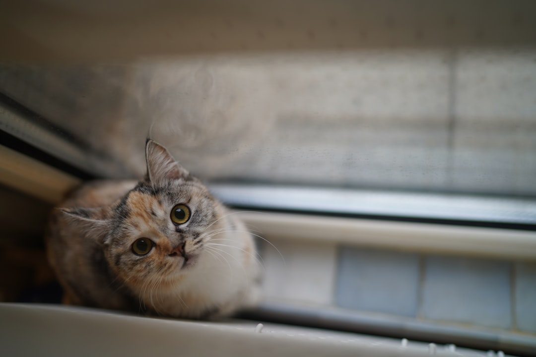 Curiosity and Environmental Monitoring (Image Credits: Unsplash)